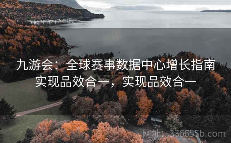 九游会：全球赛事数据中心增长指南实现品效合一，实现品效合一