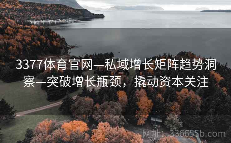 3377体育官网—私域增长矩阵趋势洞察—突破增长瓶颈，撬动资本关注