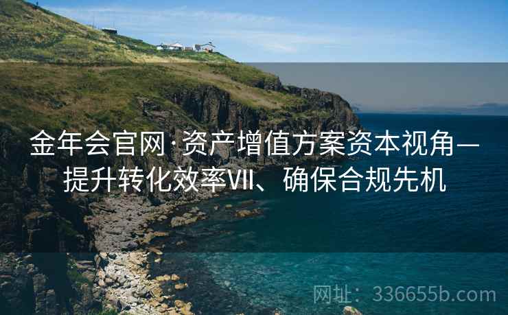 金年会官网·资产增值方案资本视角—提升转化效率Ⅶ、确保合规先机