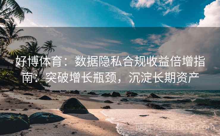 好博体育：数据隐私合规收益倍增指南：突破增长瓶颈，沉淀长期资产