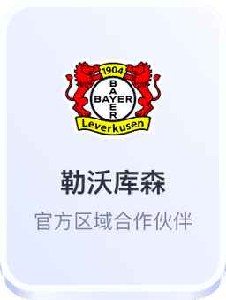 勒沃库森 官方区域合作伙伴