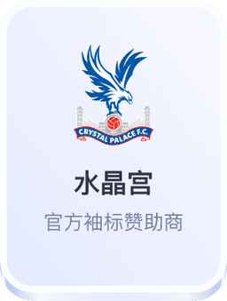 水晶宫 官方袖标赞助商
